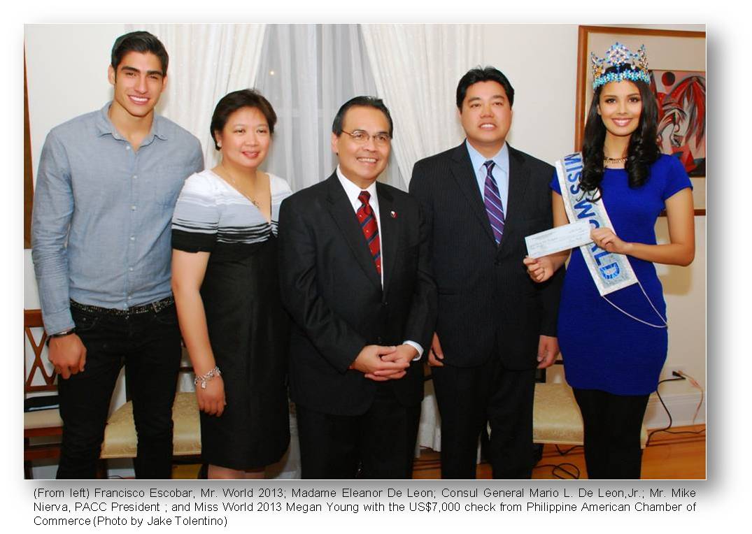 NYPCG Megan Young Fundraising