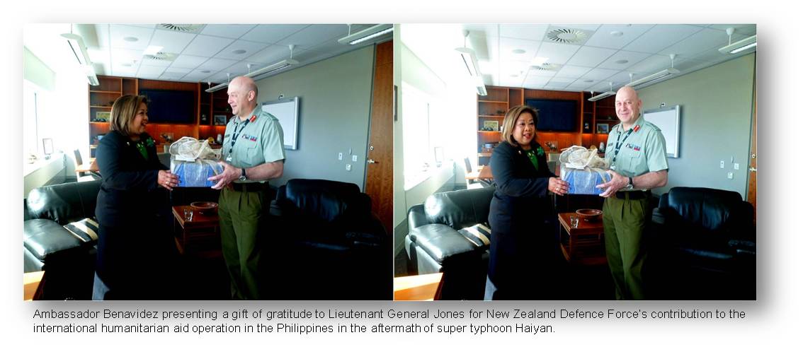 Wellington appreciation to NZ defence chief2