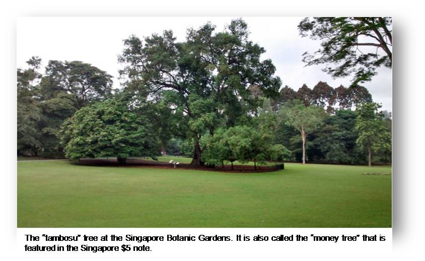 Singapore Heritage Preservation awareness2
