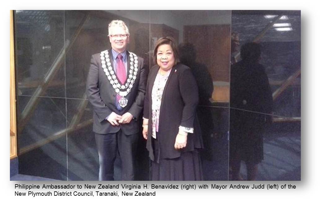 wellington mayor