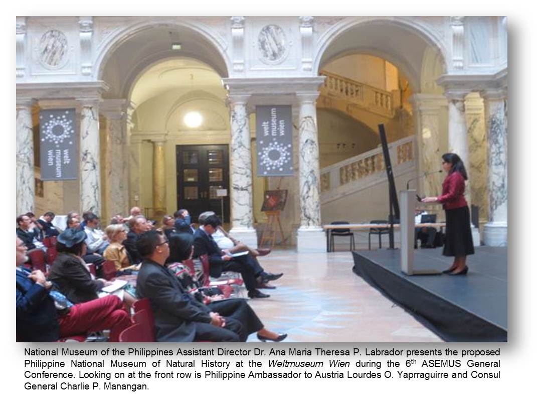 vienna asemus