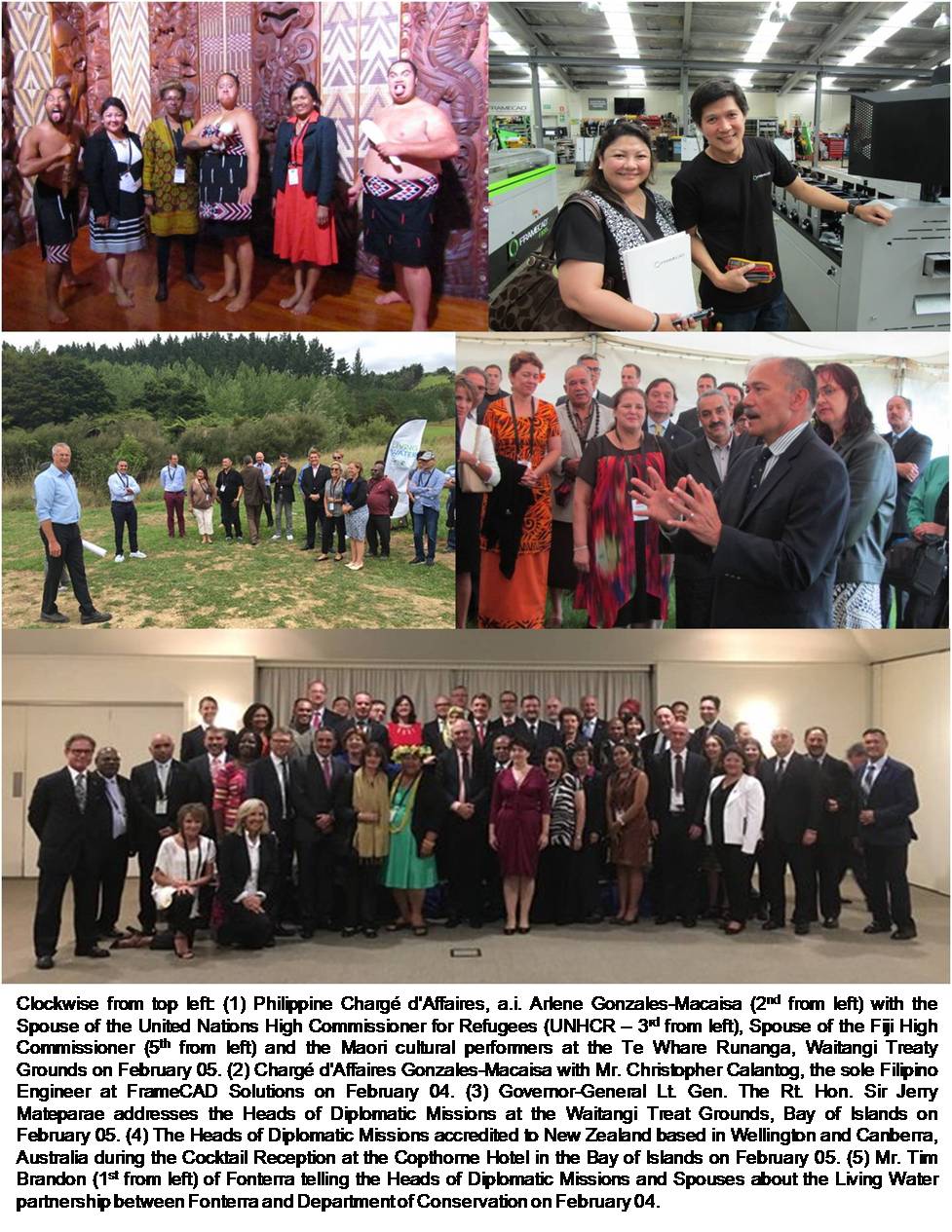 wellington waitangi day