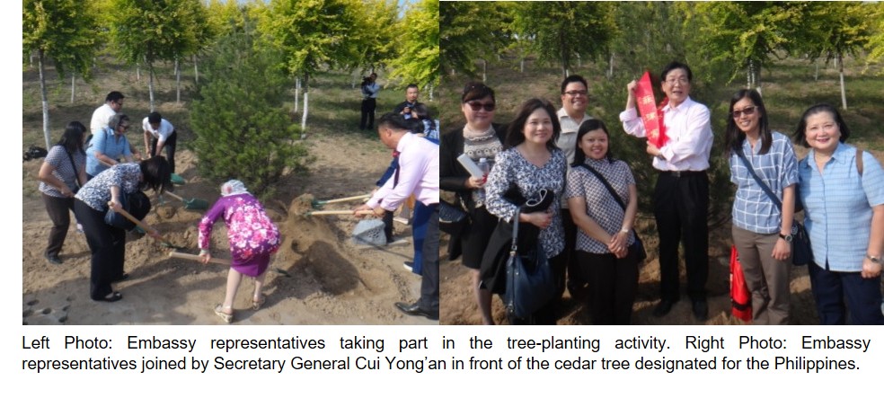 Beijing Tree Planting 2