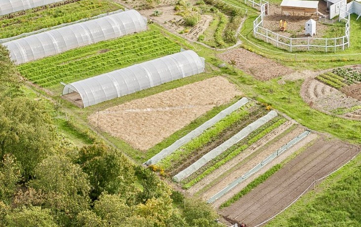 Paris Farm