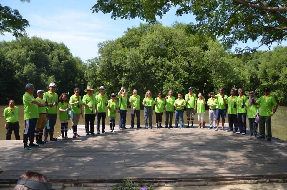 R Jakarta Mangrove 2