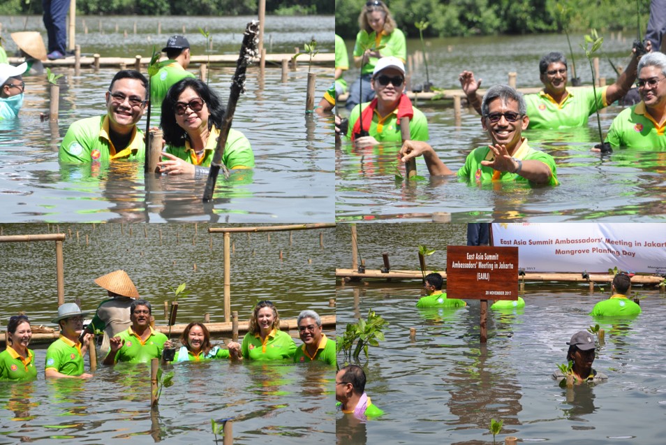 R Jakarta Mangrove 3
