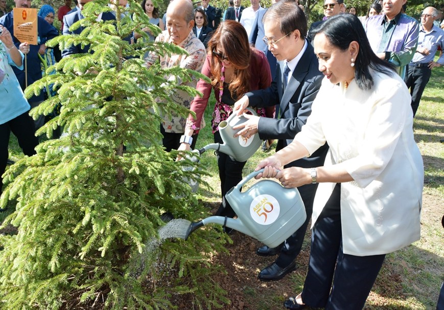 Ankara tree planting 1