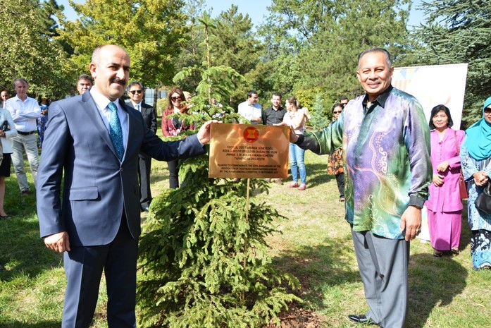 Ankara tree planting 3