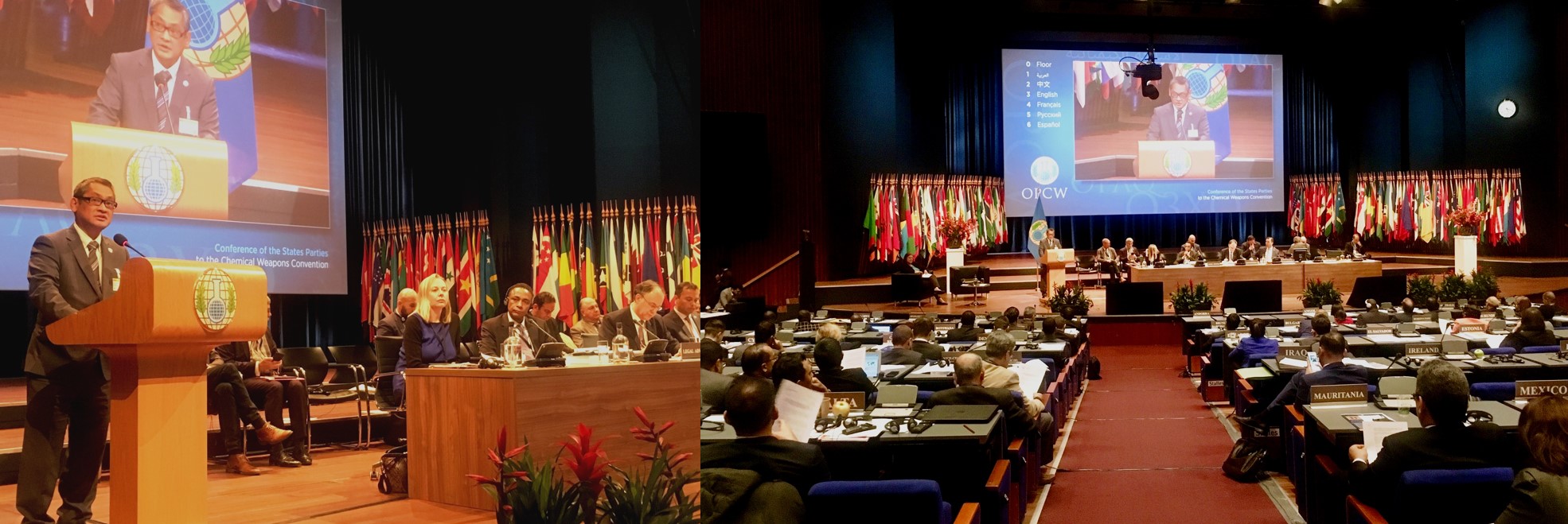 THE HAGUE OPCW
