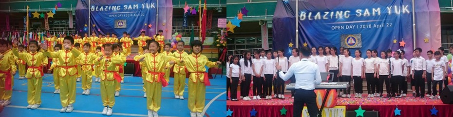 MACAU MSY 2