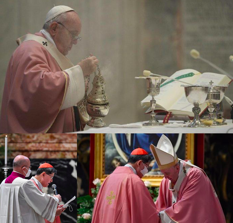 Pope Francis Celebrates 500 Years 3