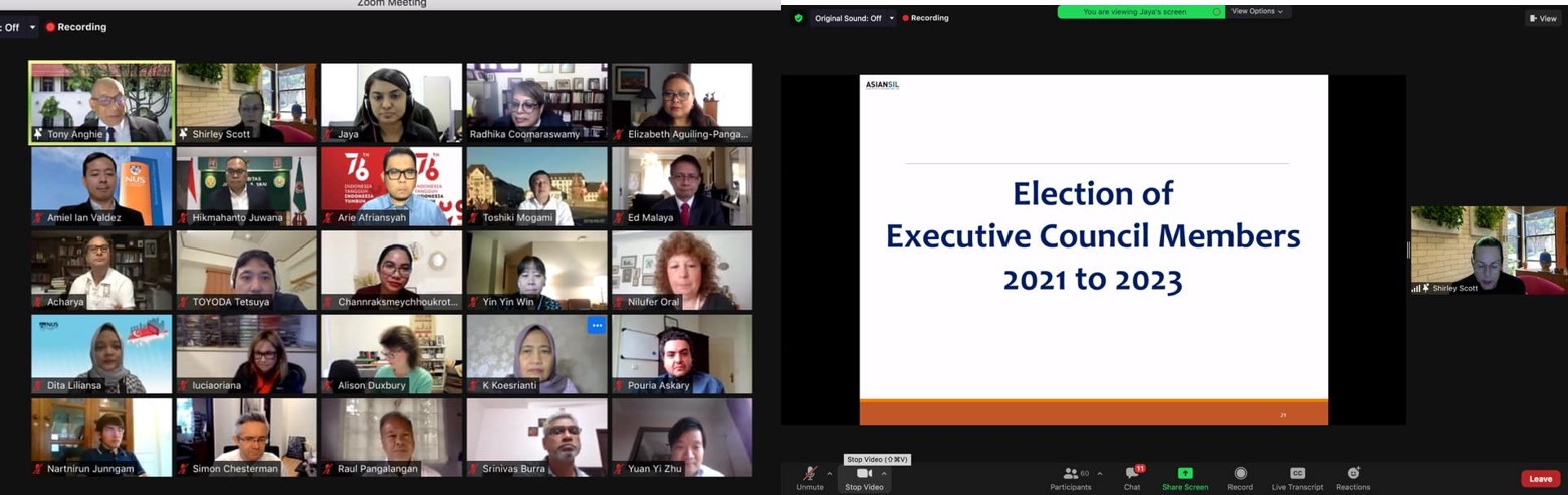 The Hague election of exec council members Asia Society Intl Law