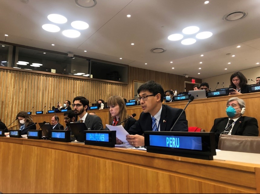 NEDA Sec Chua at UN Session