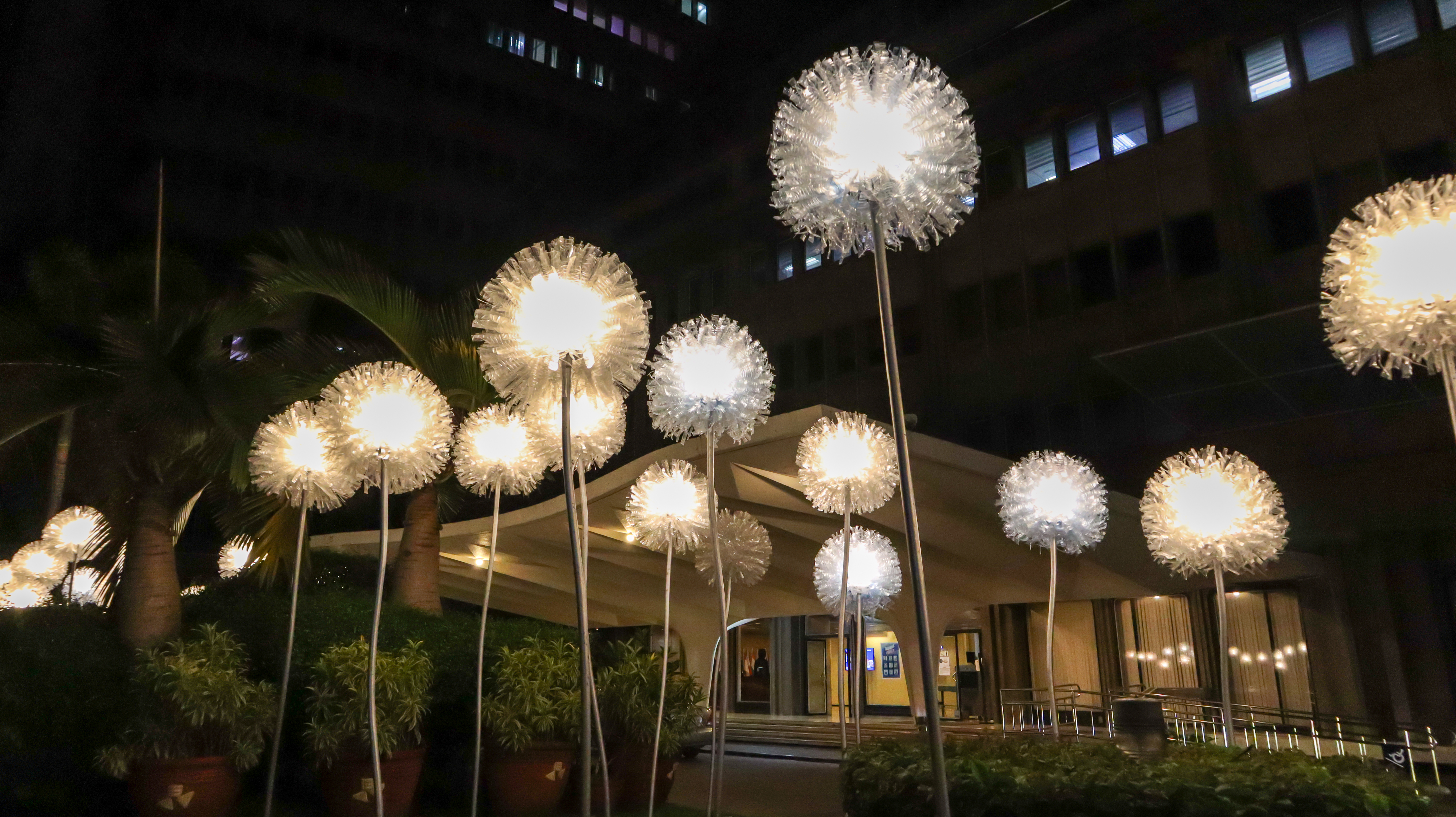 MOAO Giant Dandelions 1