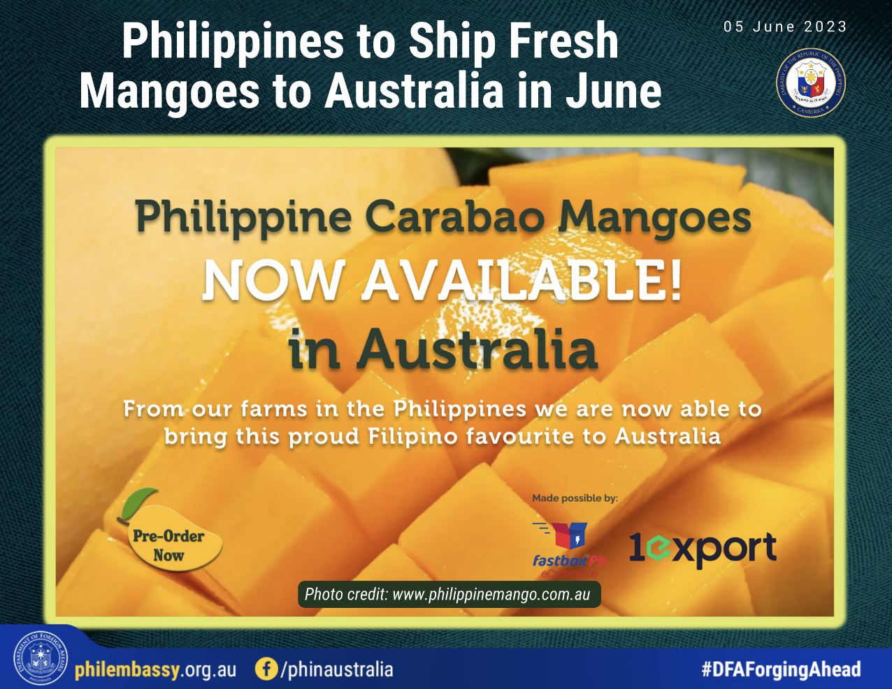 Fresh Mangoes 1
