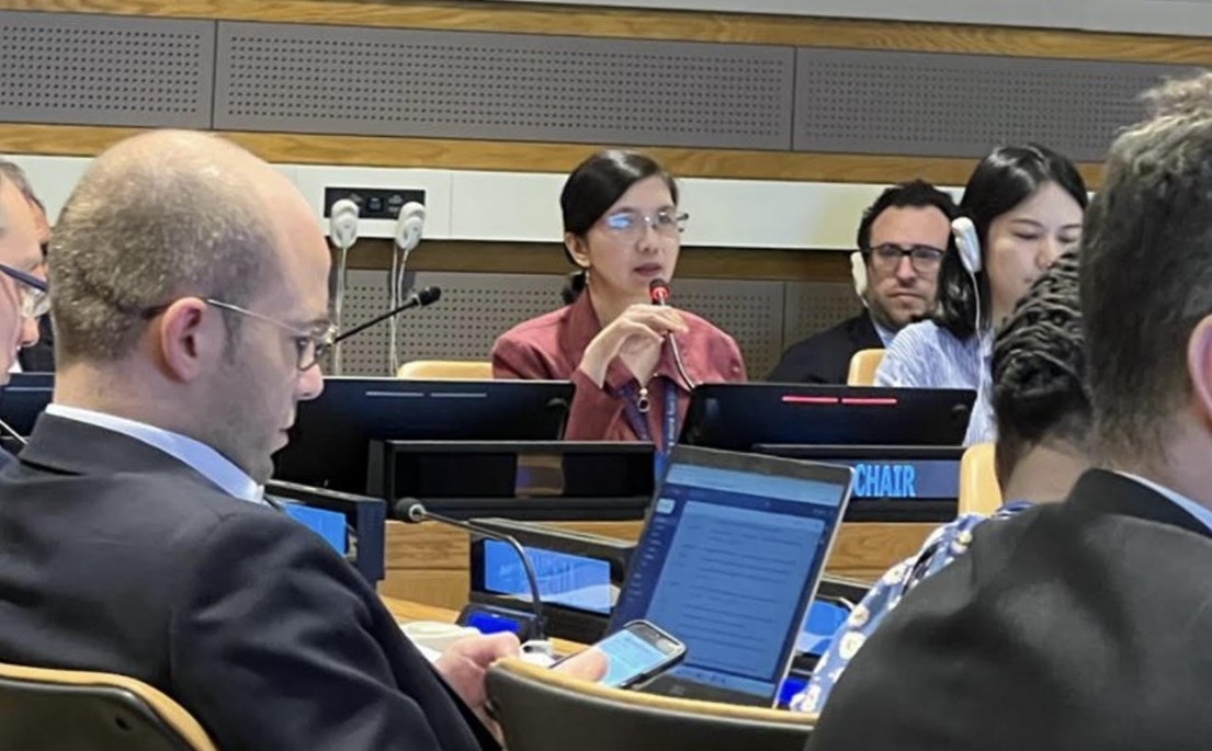 picture 1 JPEG PH leads negotiations on UN programme on humanitarian assistance at the 63rd session of the UN Committee for Programme and Coordination