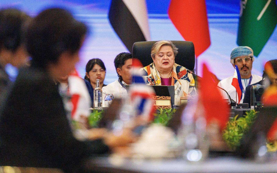 PH Co Chairs ASEAN GCC SOM Participates in ASEAN GCC China SOM1